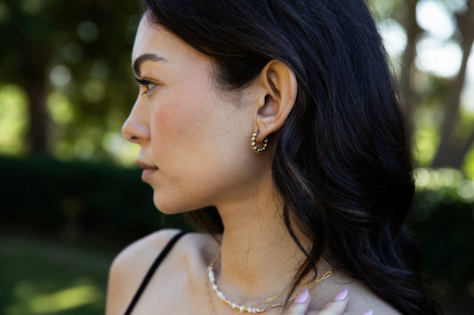 Holly Hoops