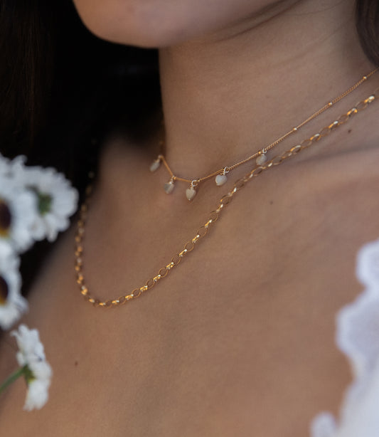 Mother of Pearl Heart Shaker Necklace