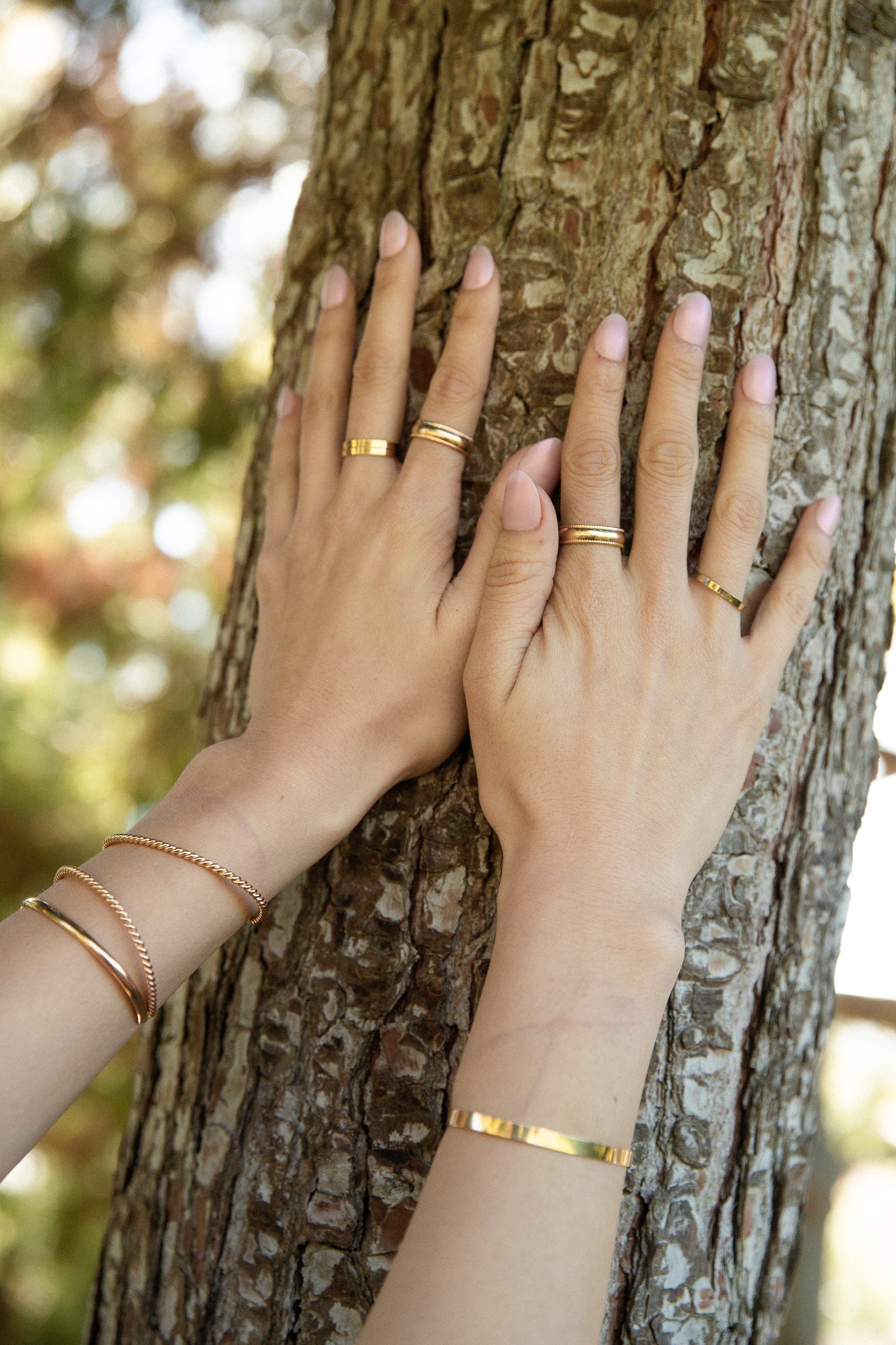 RINGS – Paradigm Design