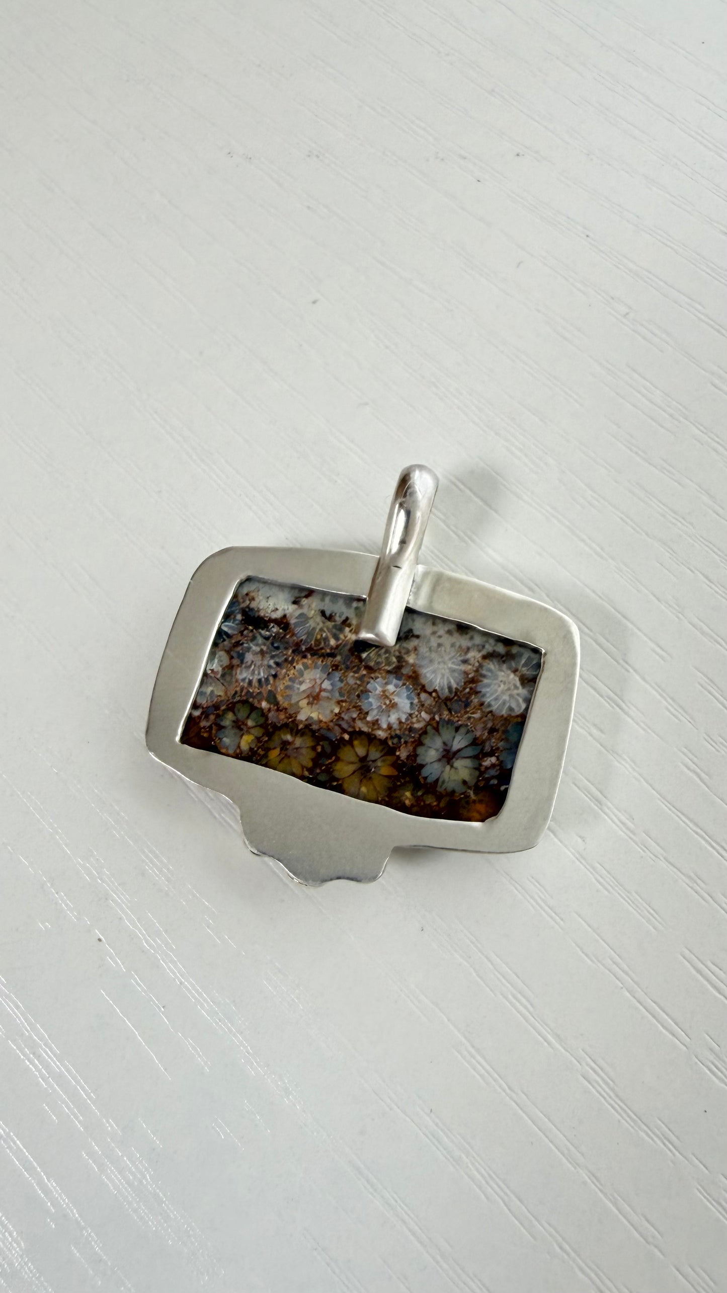 Fossilized Coral Collar Necklace