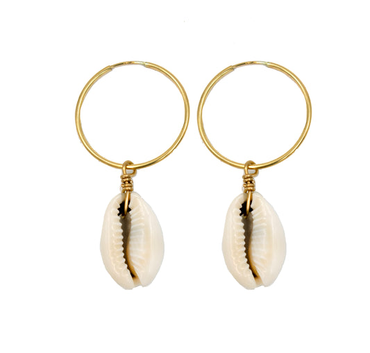 Cowrie Shell Hoops