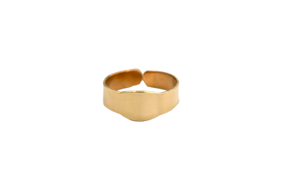 Guardian Ring