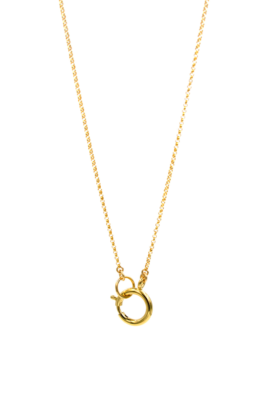 Spring Ring Charm Necklace
