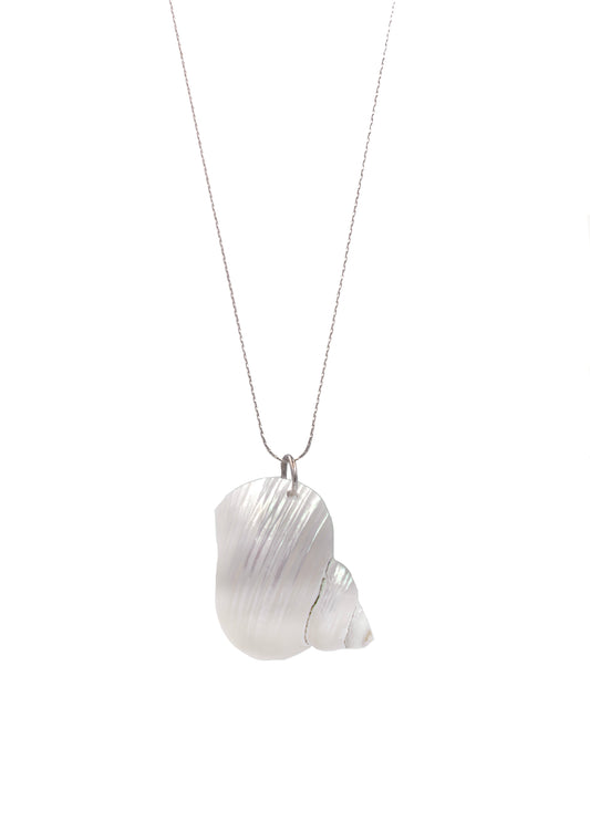 Shell pendant necklace on a white background