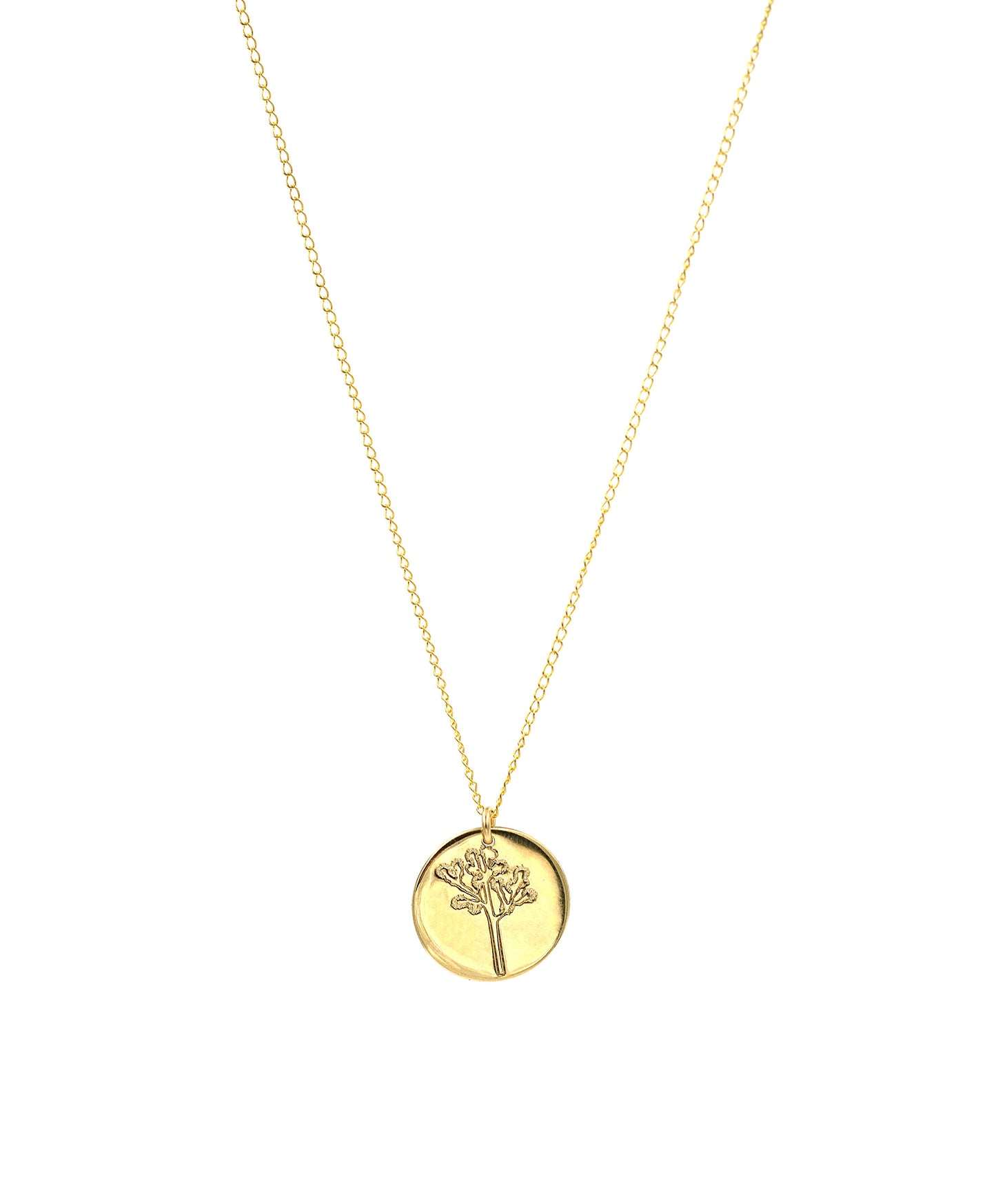 Joshua Tree Coin Necklace