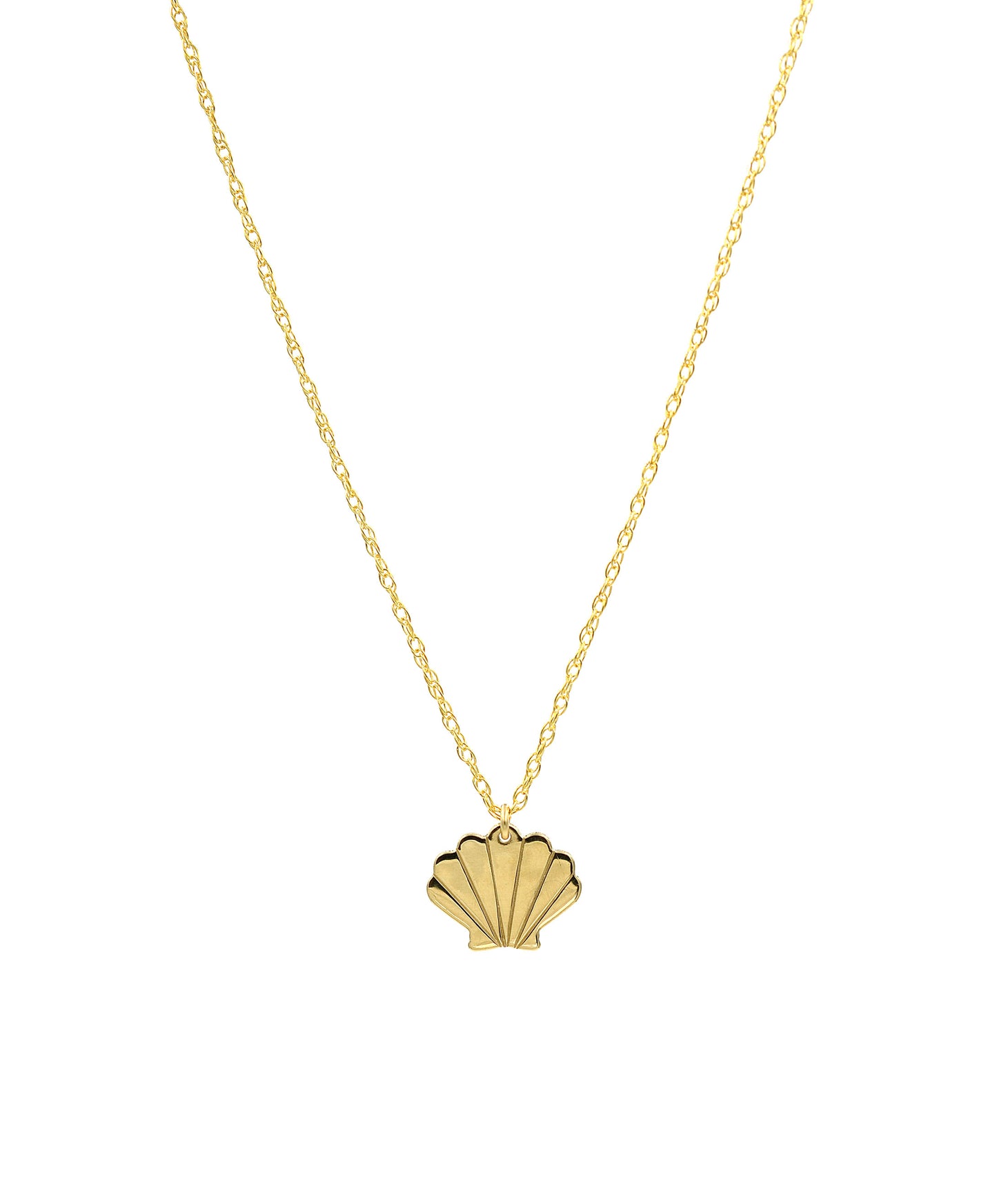 Scallop Shell Necklace