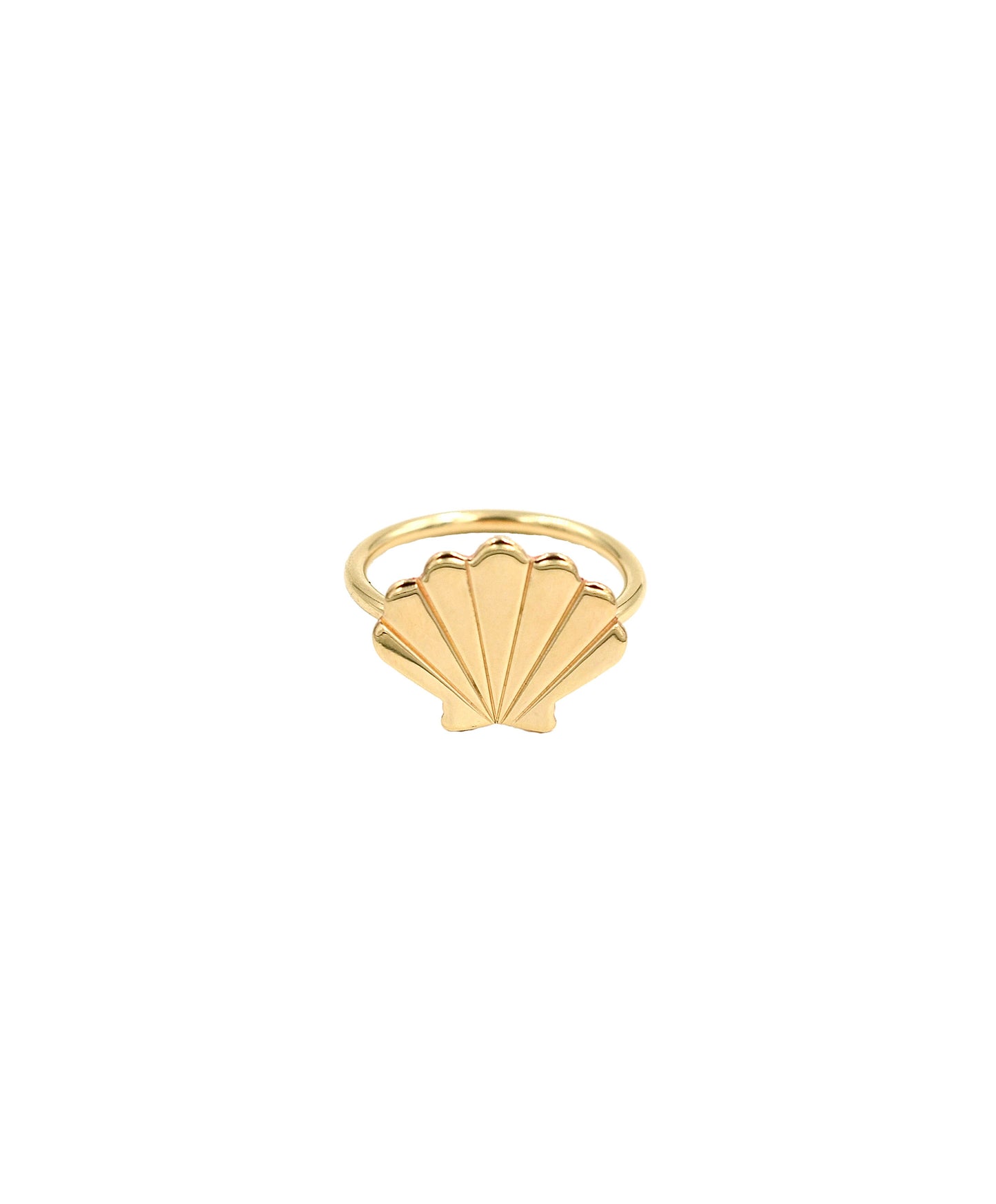 Scallop Shell Ring