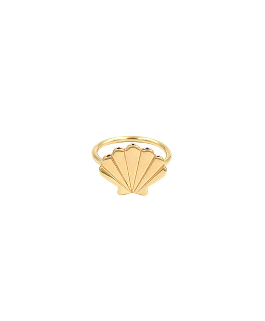 Scallop Shell Ring