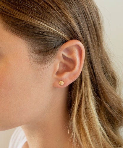 Shell Studs