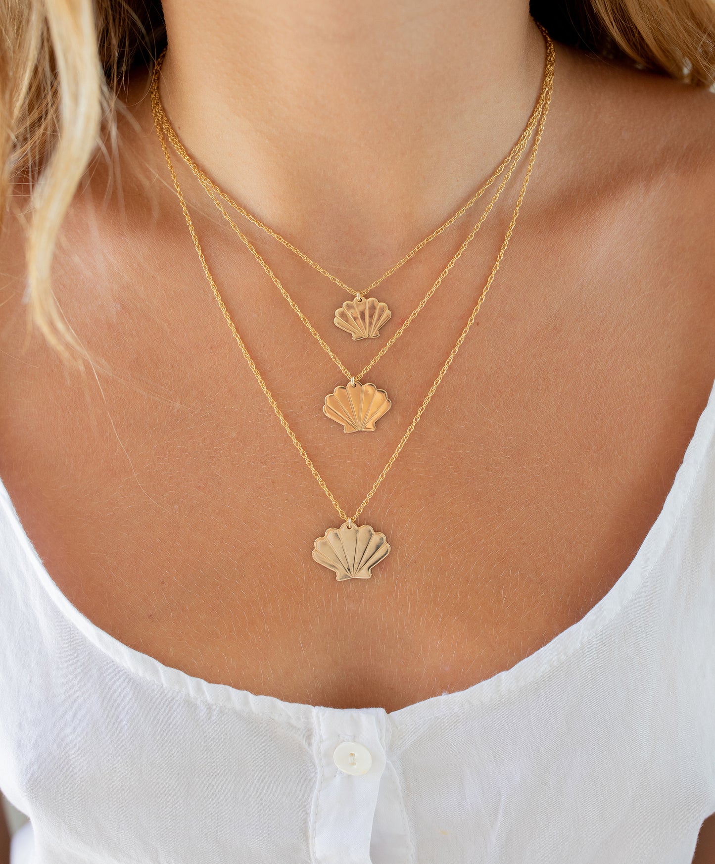 Scallop Shell Necklace