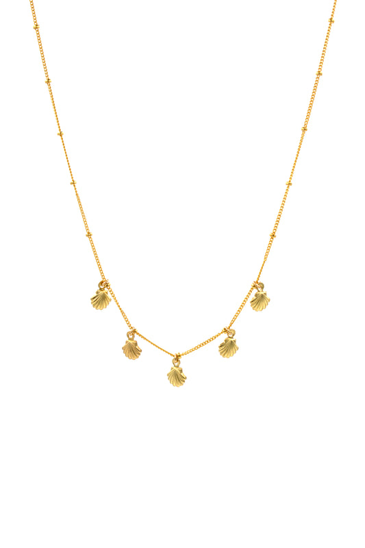 Shell Shaker Necklace
